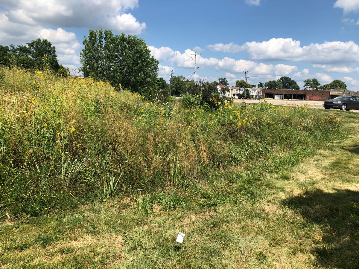 Hole 1 Tee.