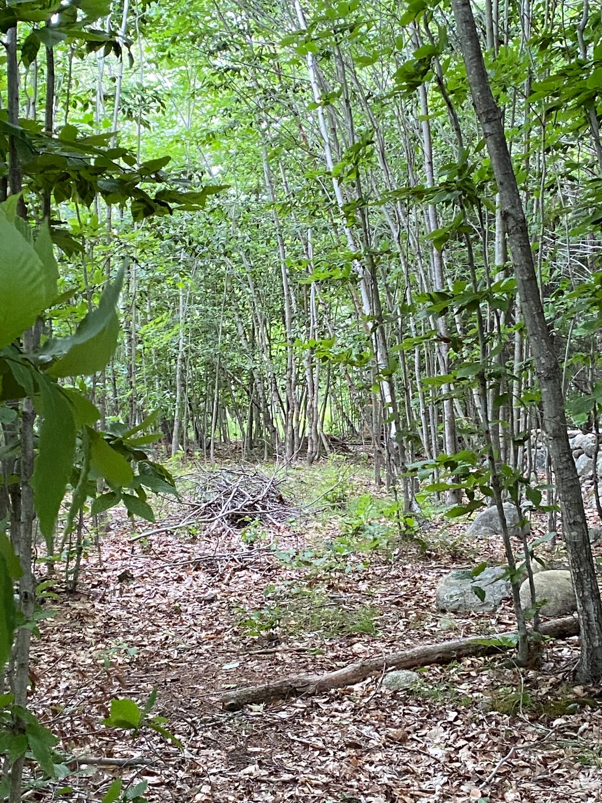 Hole 11