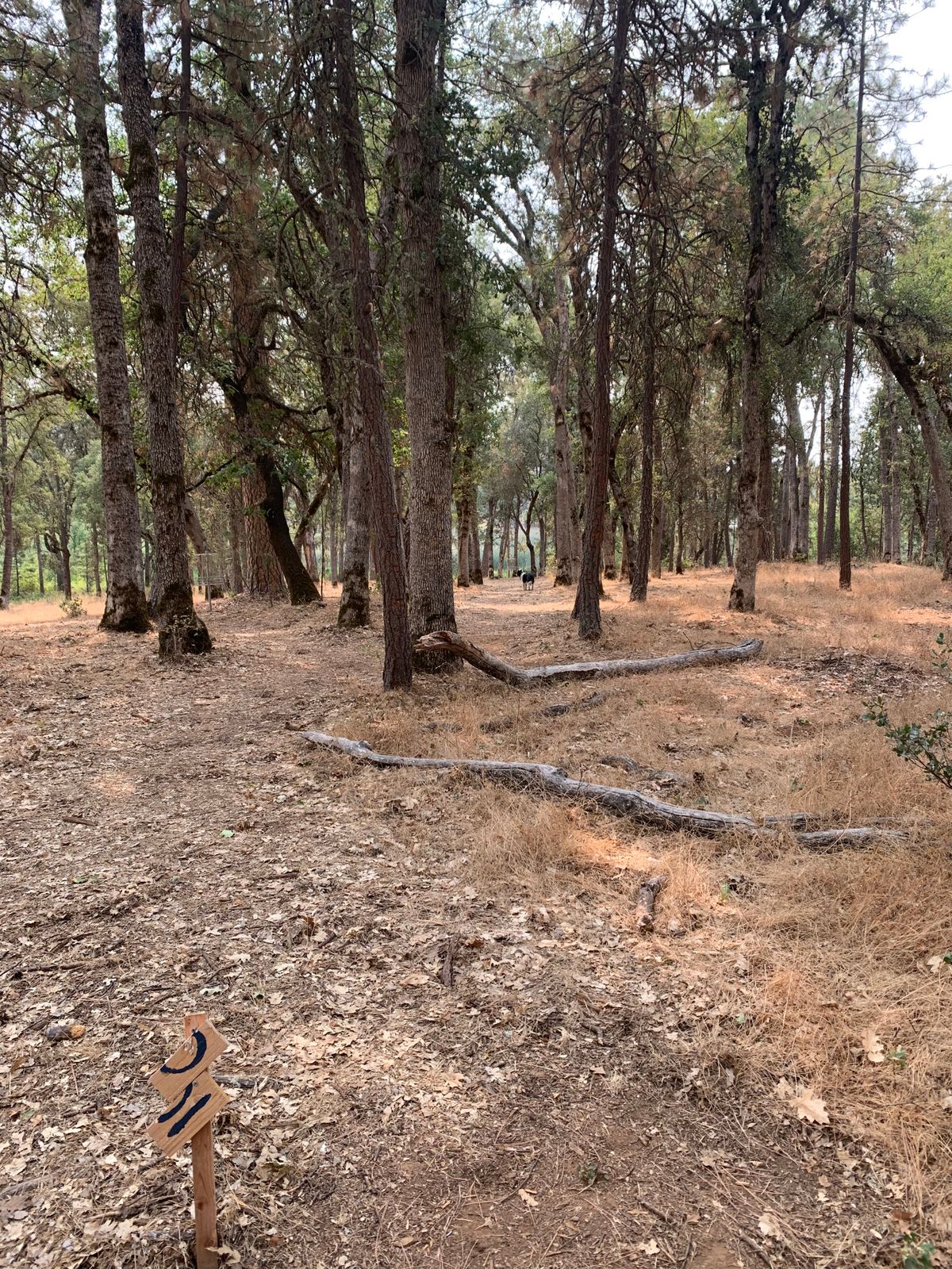 Blue 10 - typical narrow fairway