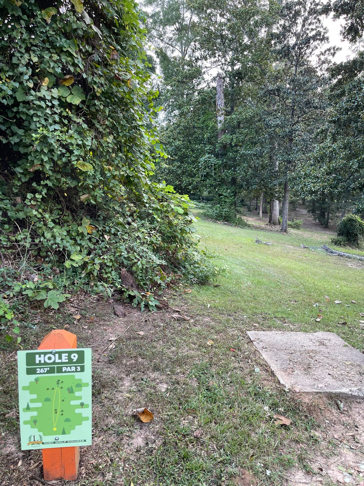 Hole 9