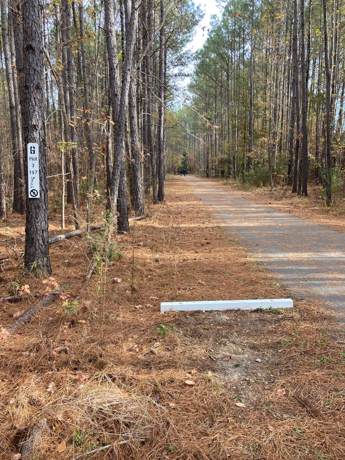 Hole 6, Tee Box, 197’ From Left side to Right side of the path, watch for walkers.