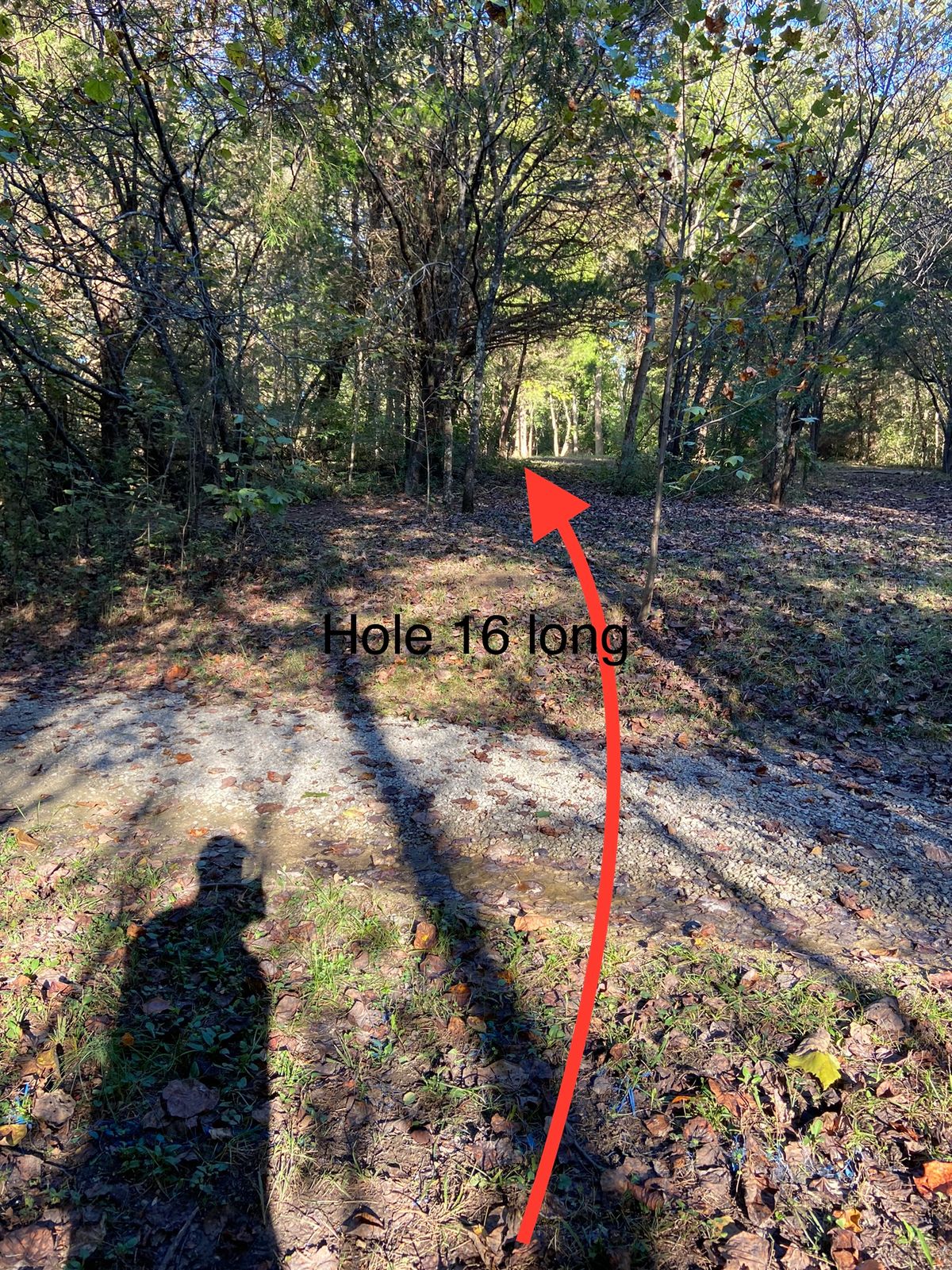 Hole 16 long