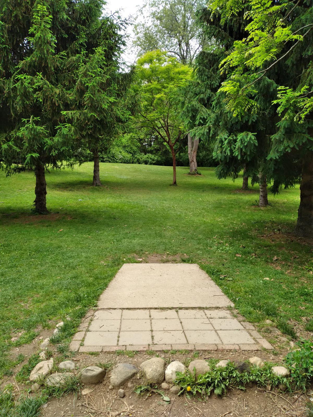 #3 Short Tee
