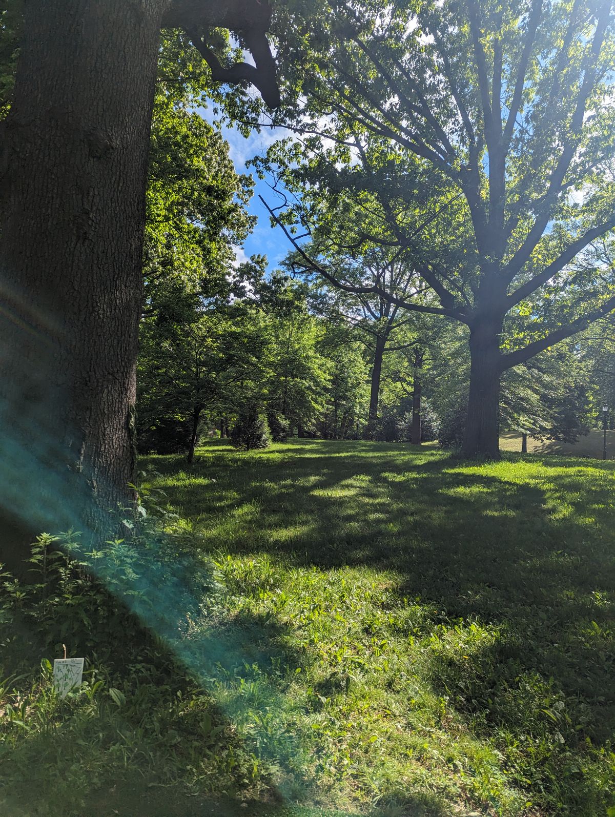 Hole 3