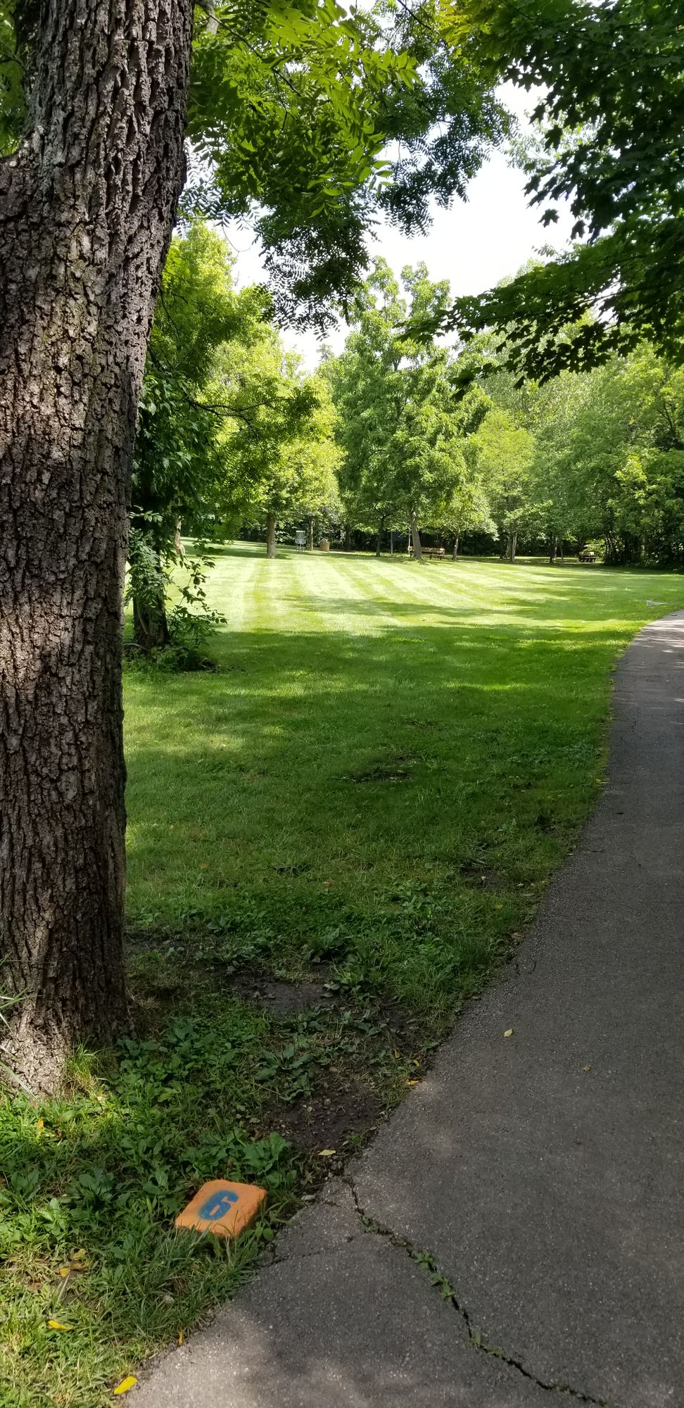 Hole 6