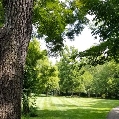 Hole 6