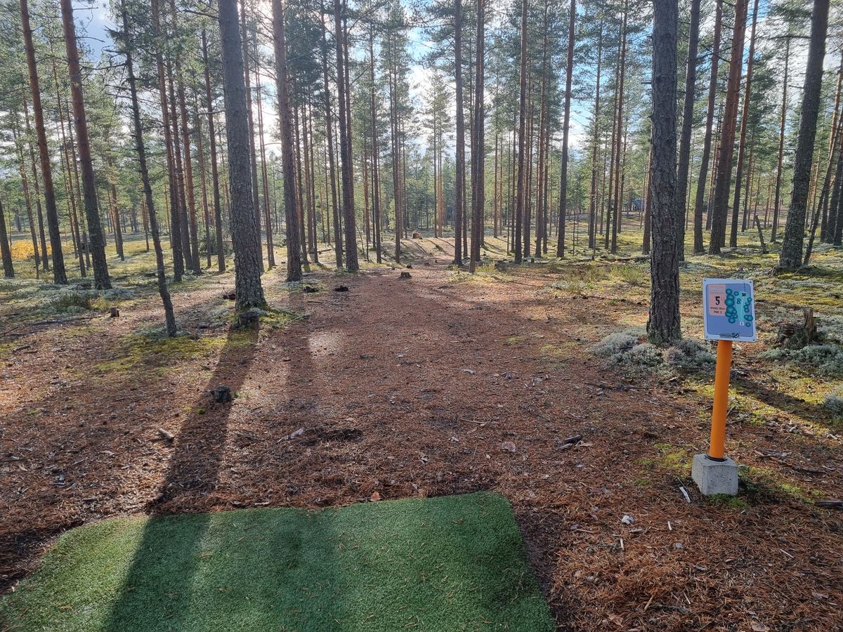 Väylä 5, kapeaan väliin loivasti oikealle taipuen