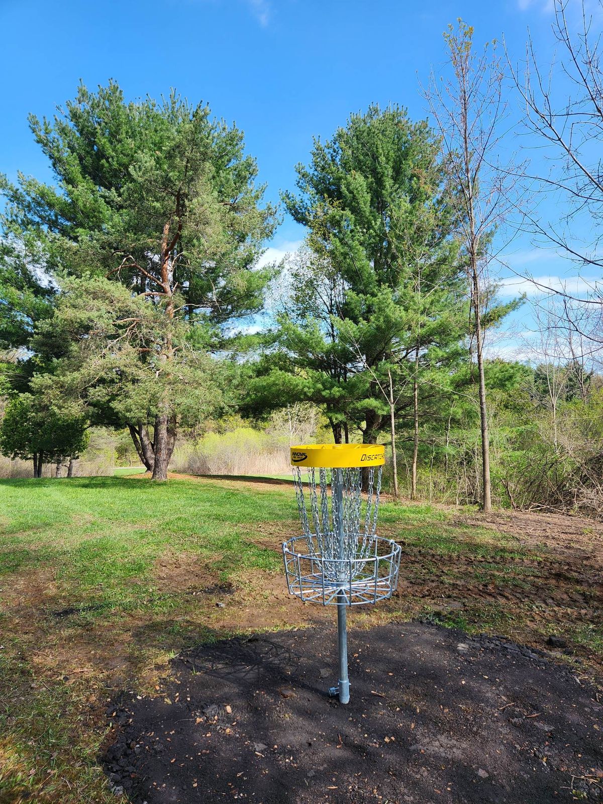 View back to tee from basket 13