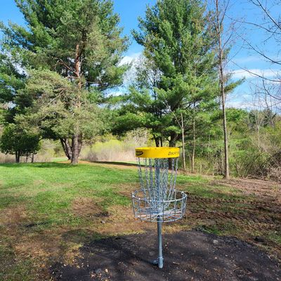View back to tee from basket 13