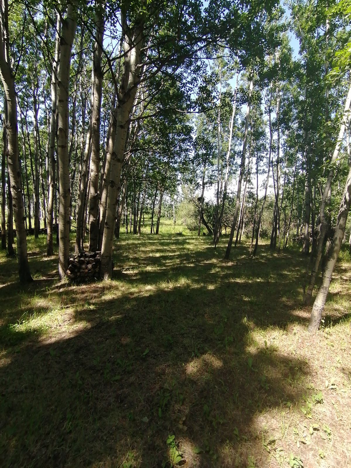 #13 fairway