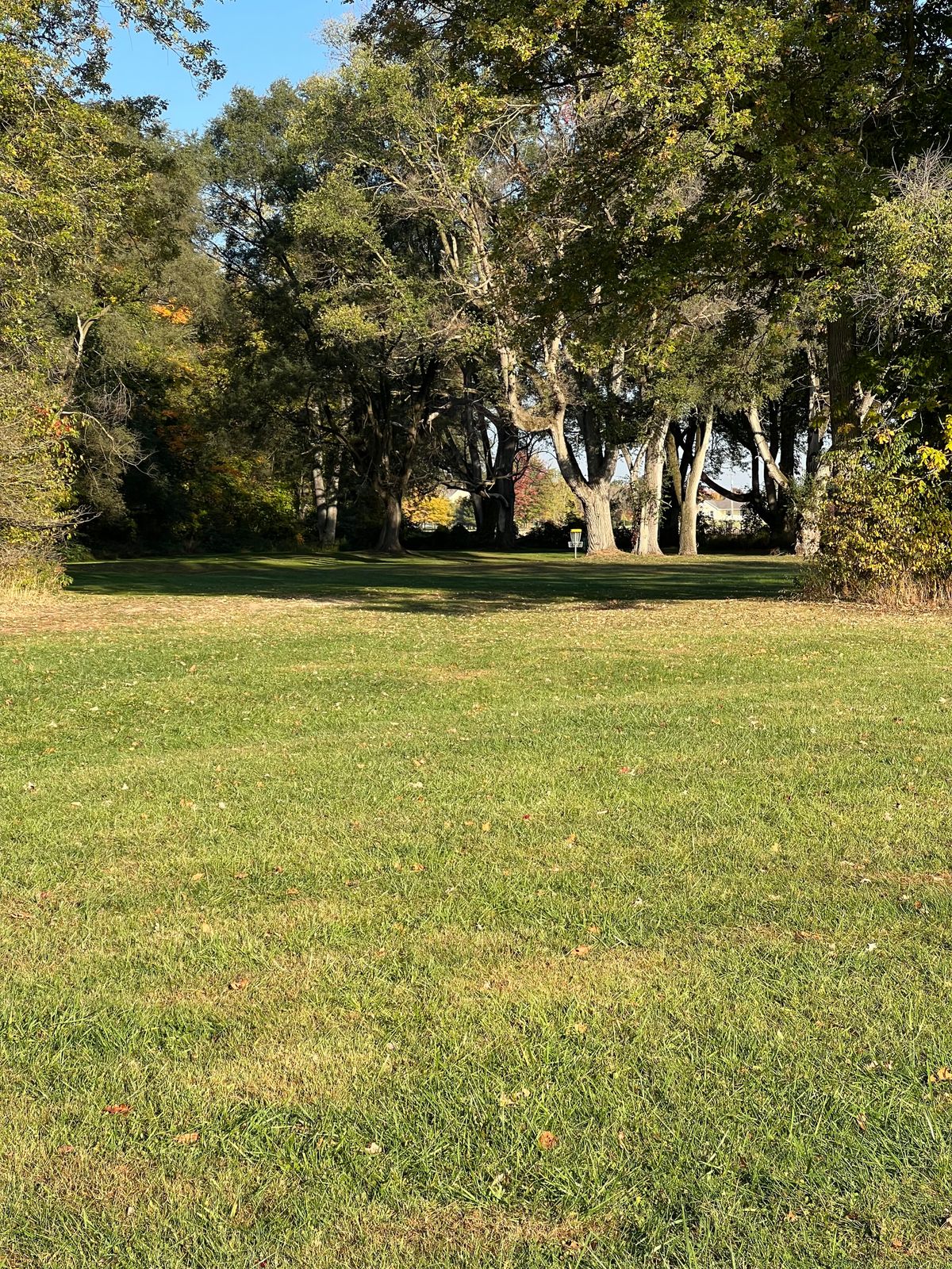 Fairway/approach to hole 1 basket