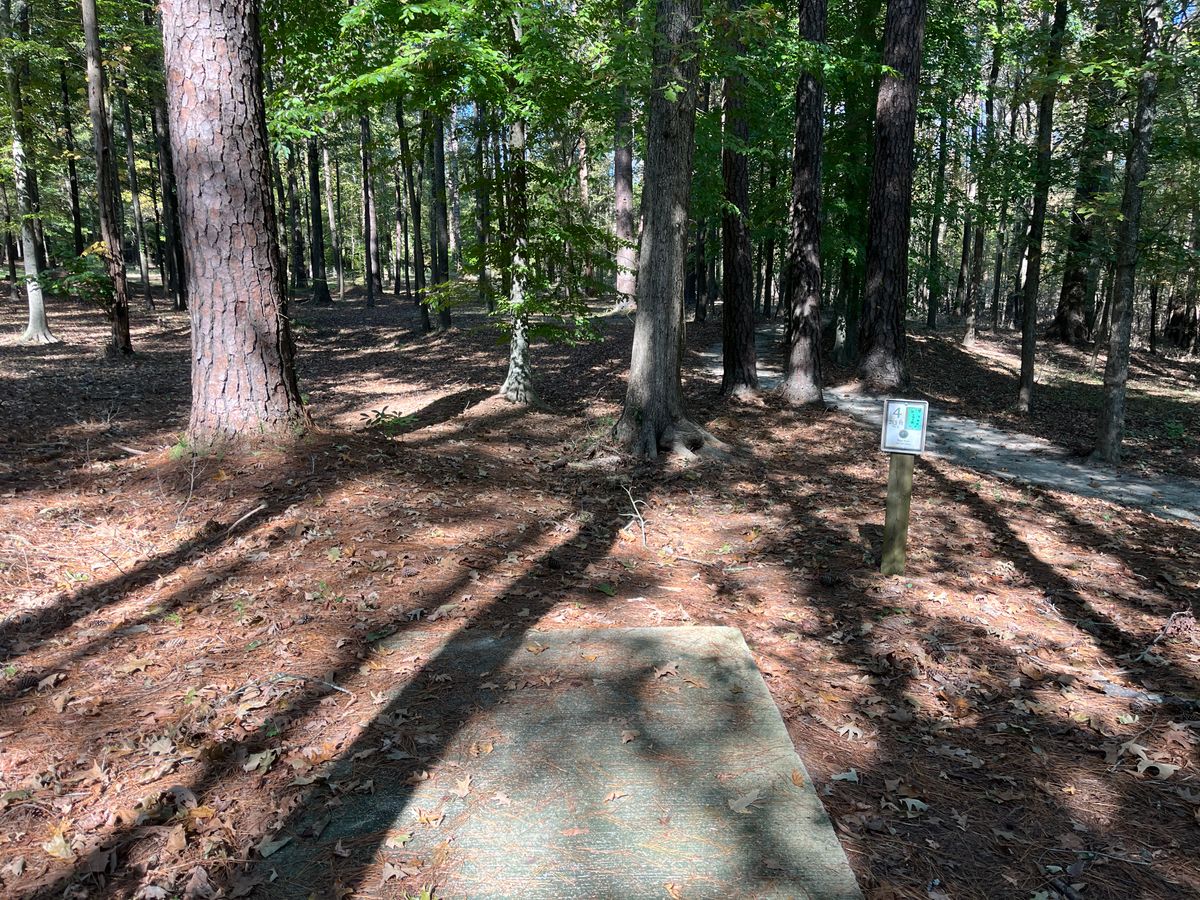Hole 4 tee