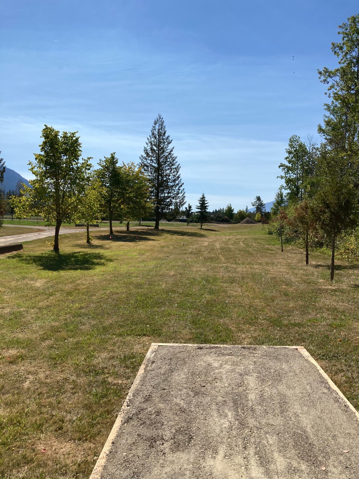 Hole 4 tee