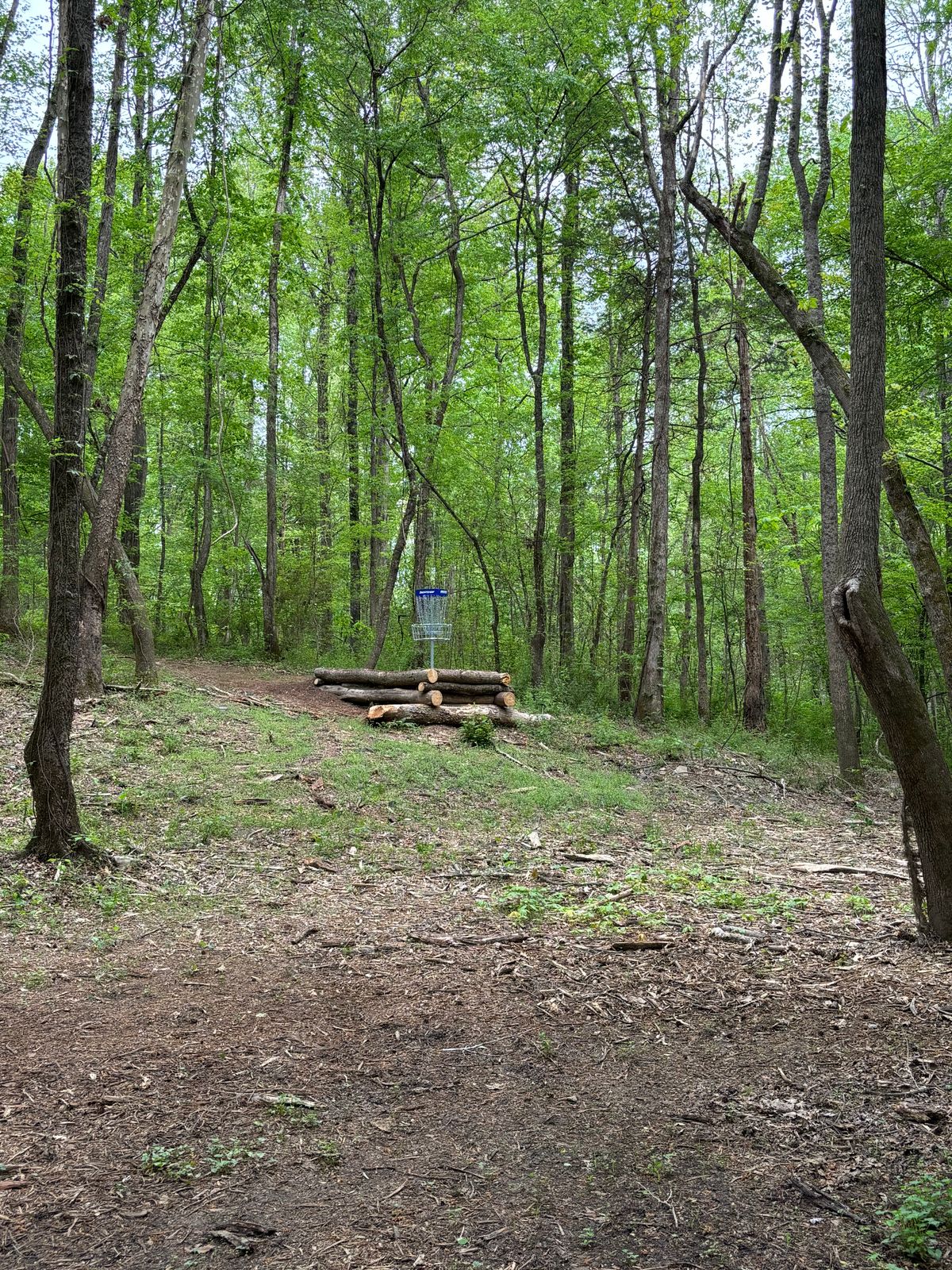 Hole 11