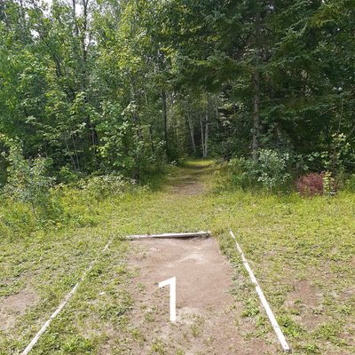 Tee 1