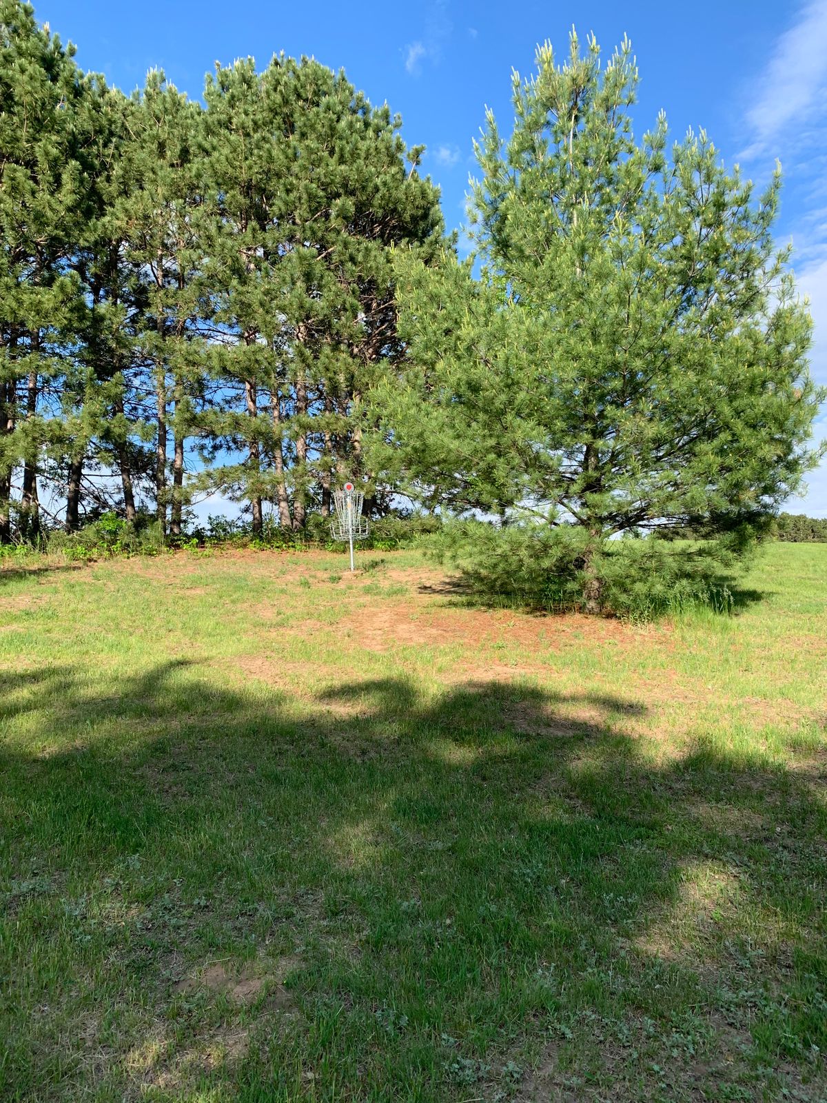 6th green from bottom left