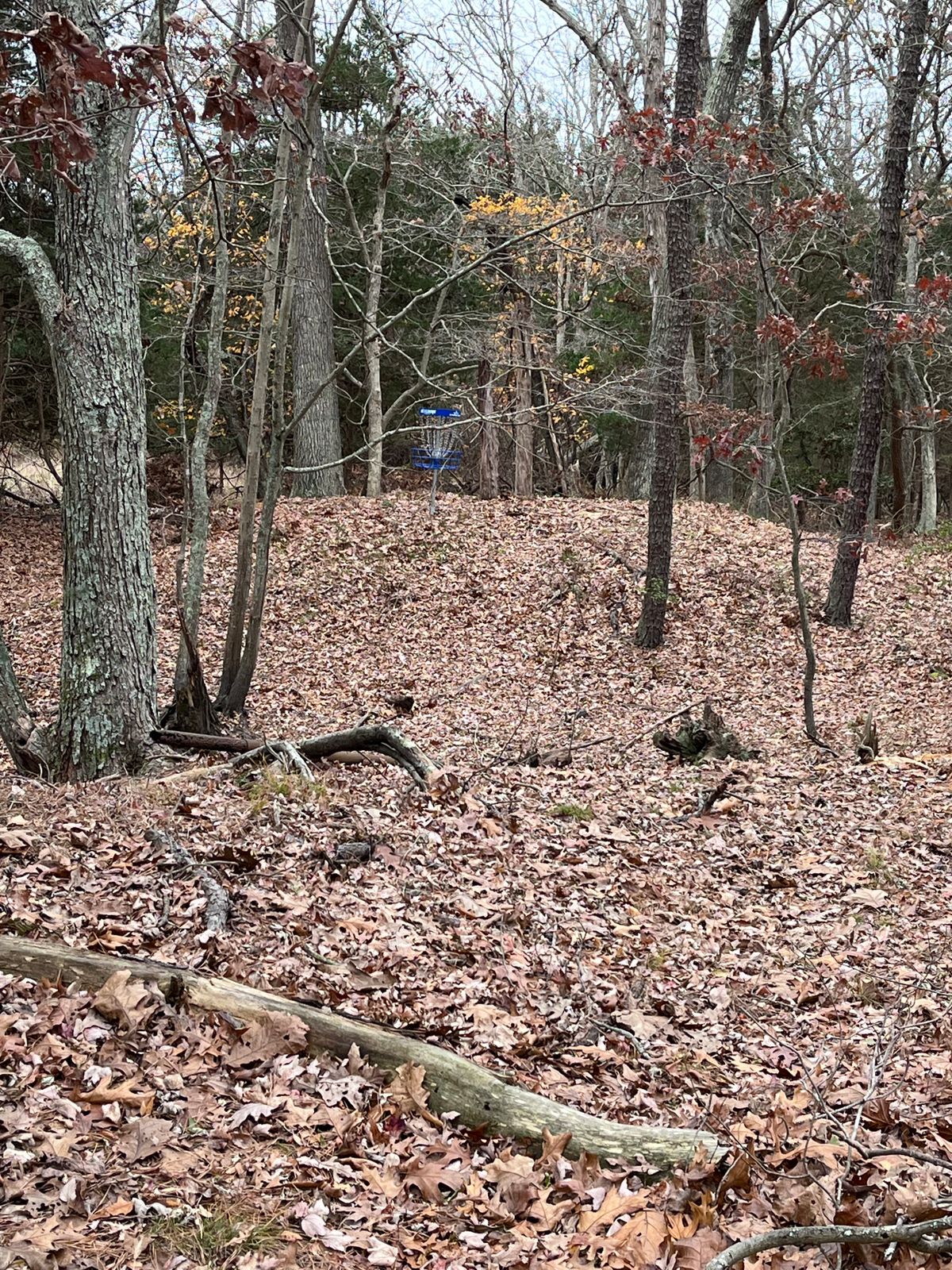 Hole 9