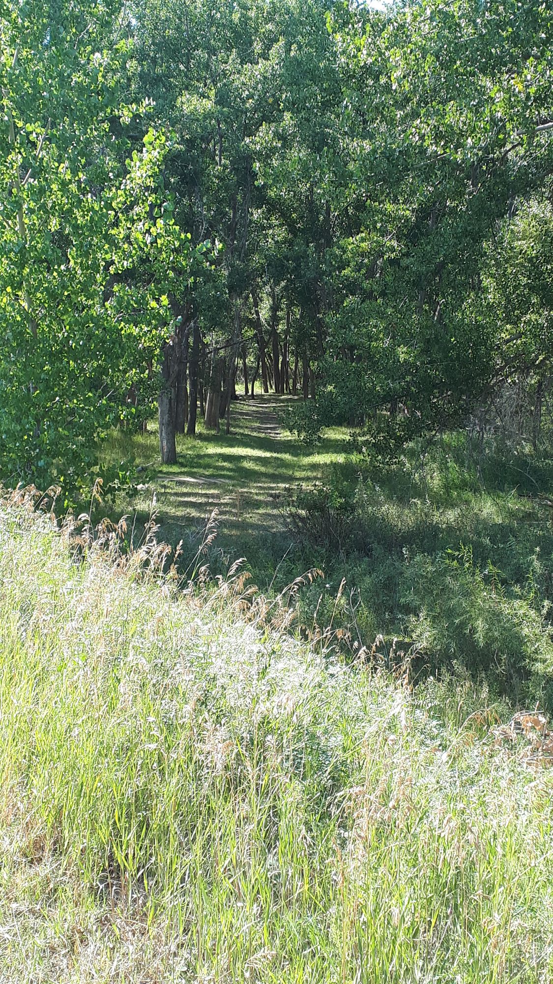 Hole 1 fairway