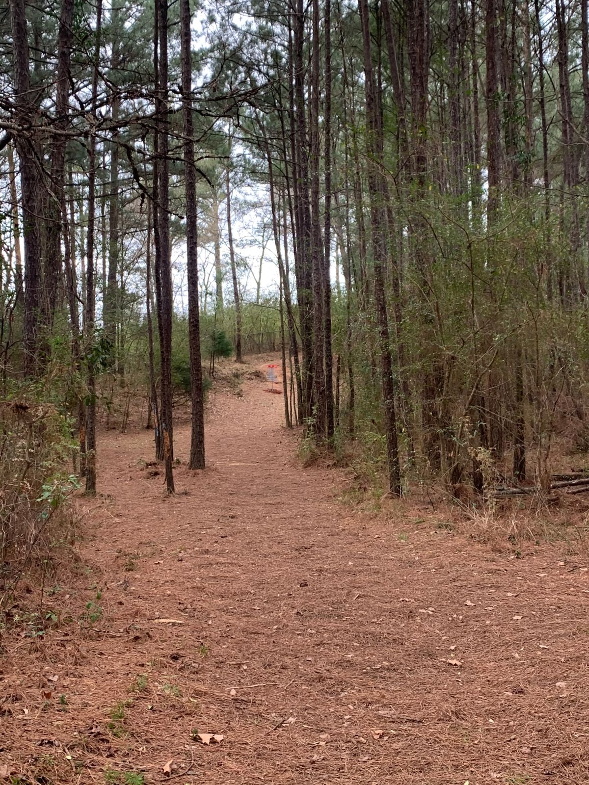 17s fairway