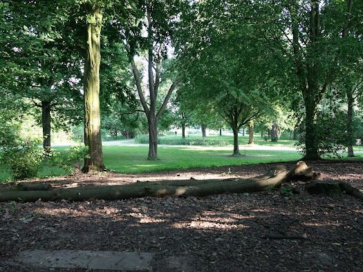 Tee 13