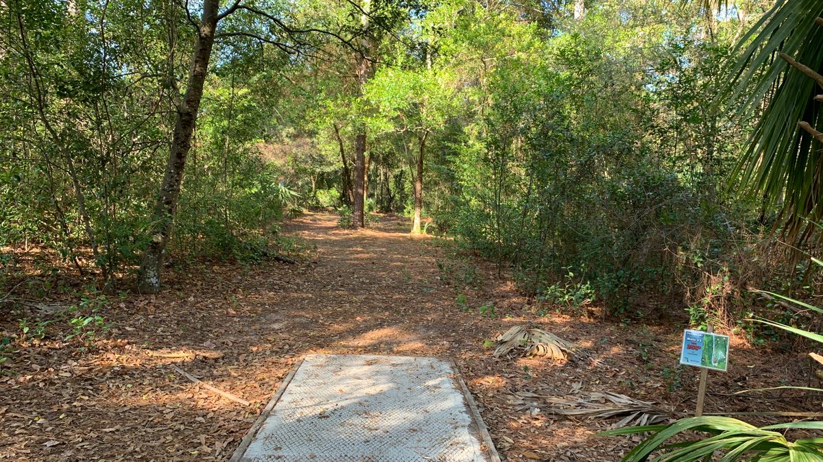 Hole 13