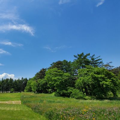 Course photo