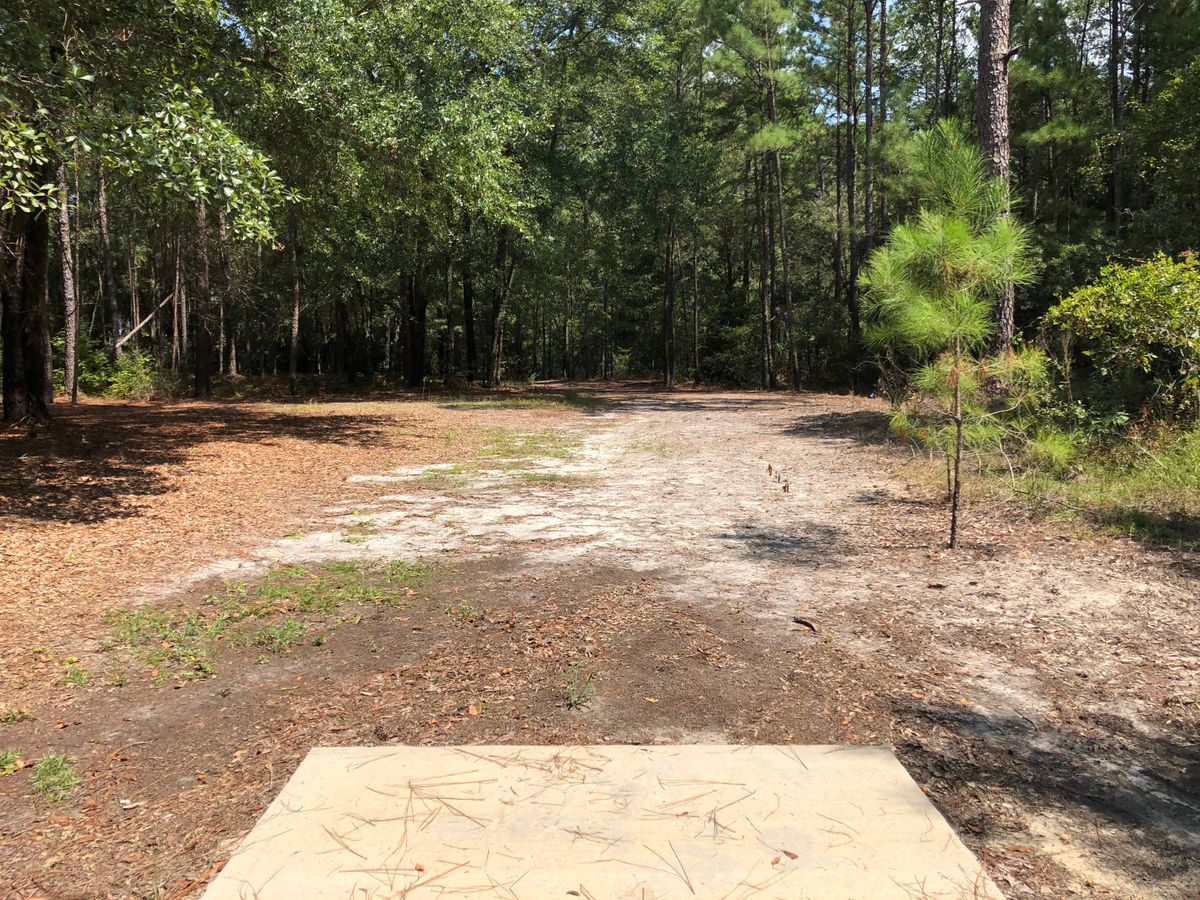 Hole 5 - Black