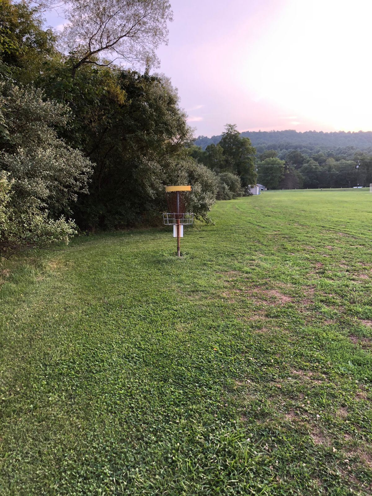 Hole 4 basket.