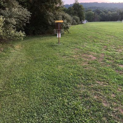 Hole 4 basket.