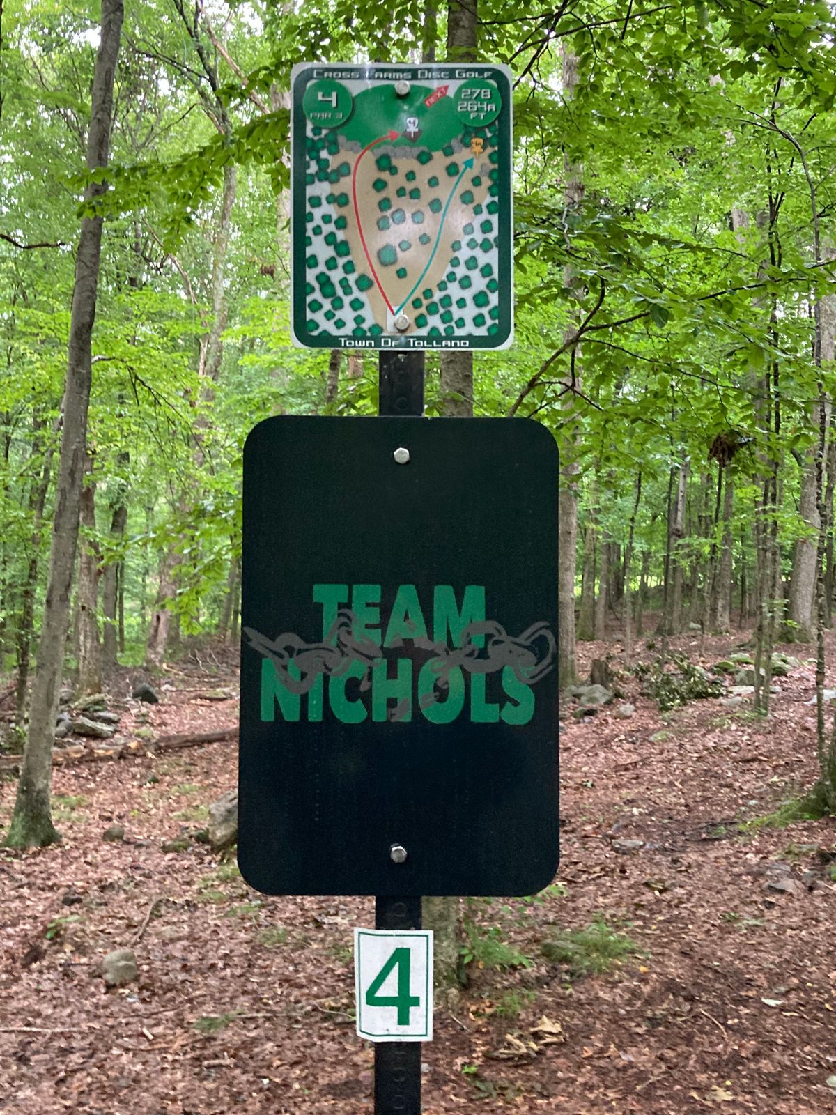 Hole 4- 2 baskets. New Alt baskets installed.