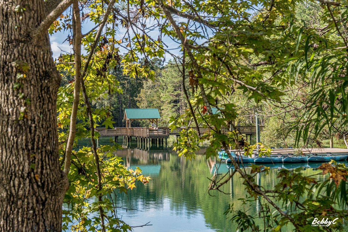 Pine Trace Park kayaks