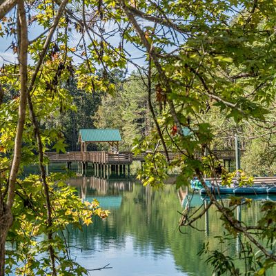 Pine Trace Park kayaks