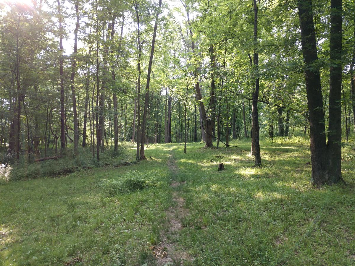 Hole 4 fairway after stream crossing