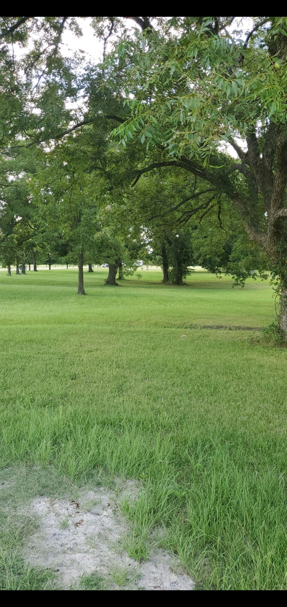Hole 1