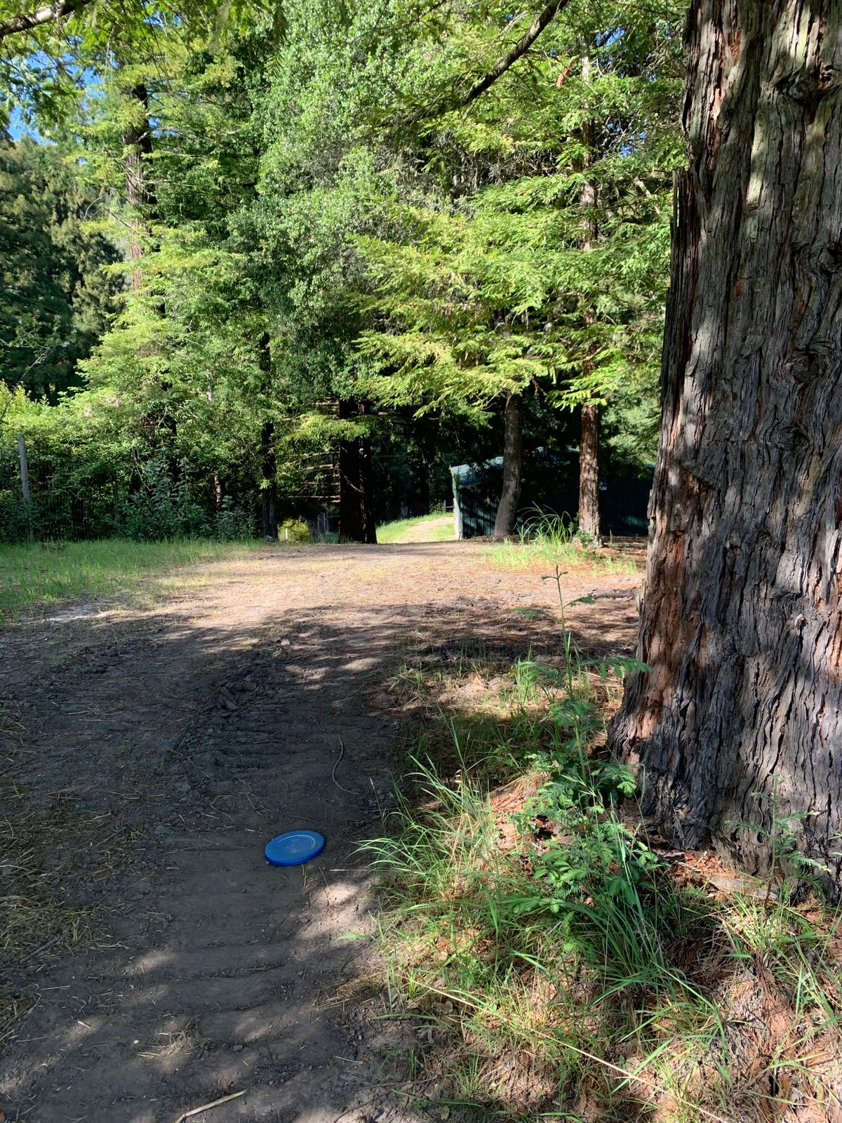 Hole 4