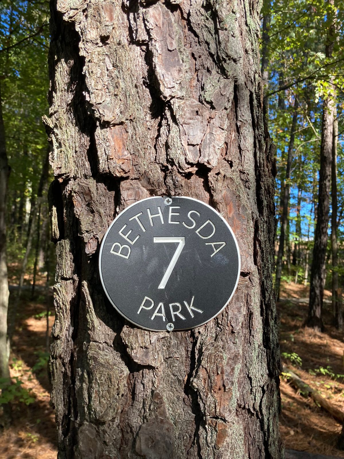 Hole 7