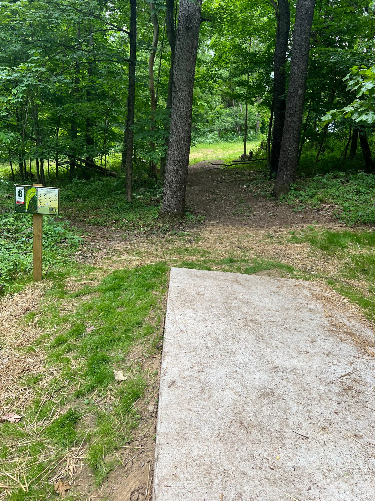 Hole 8