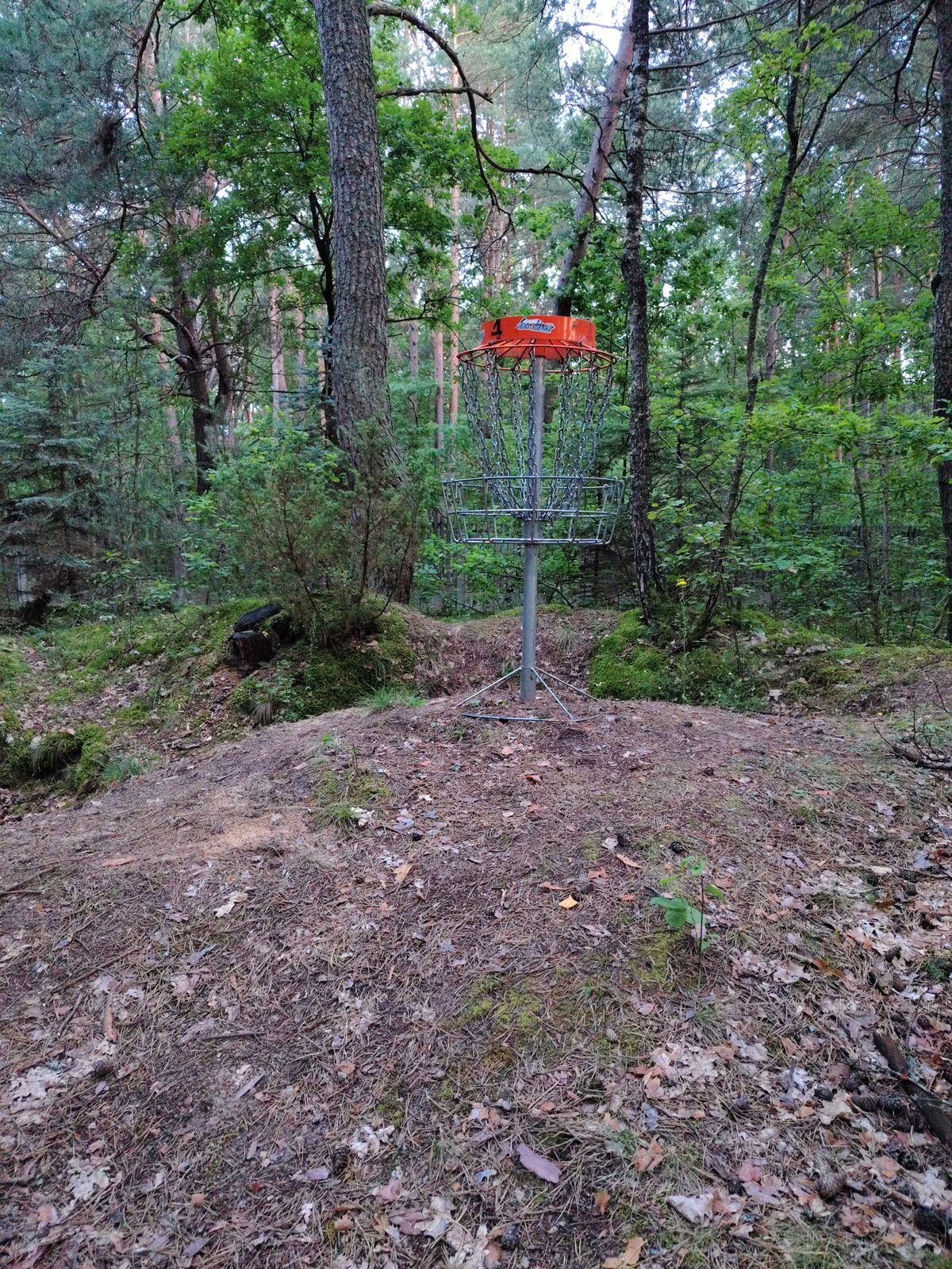 Hole 4