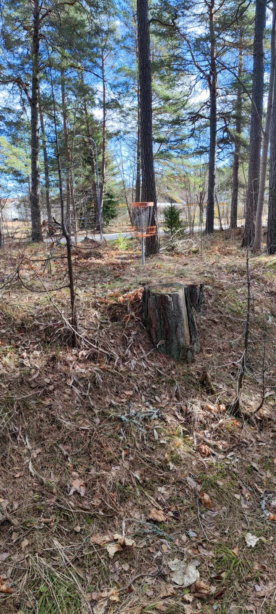 Hål 15 från ravinen mot korg