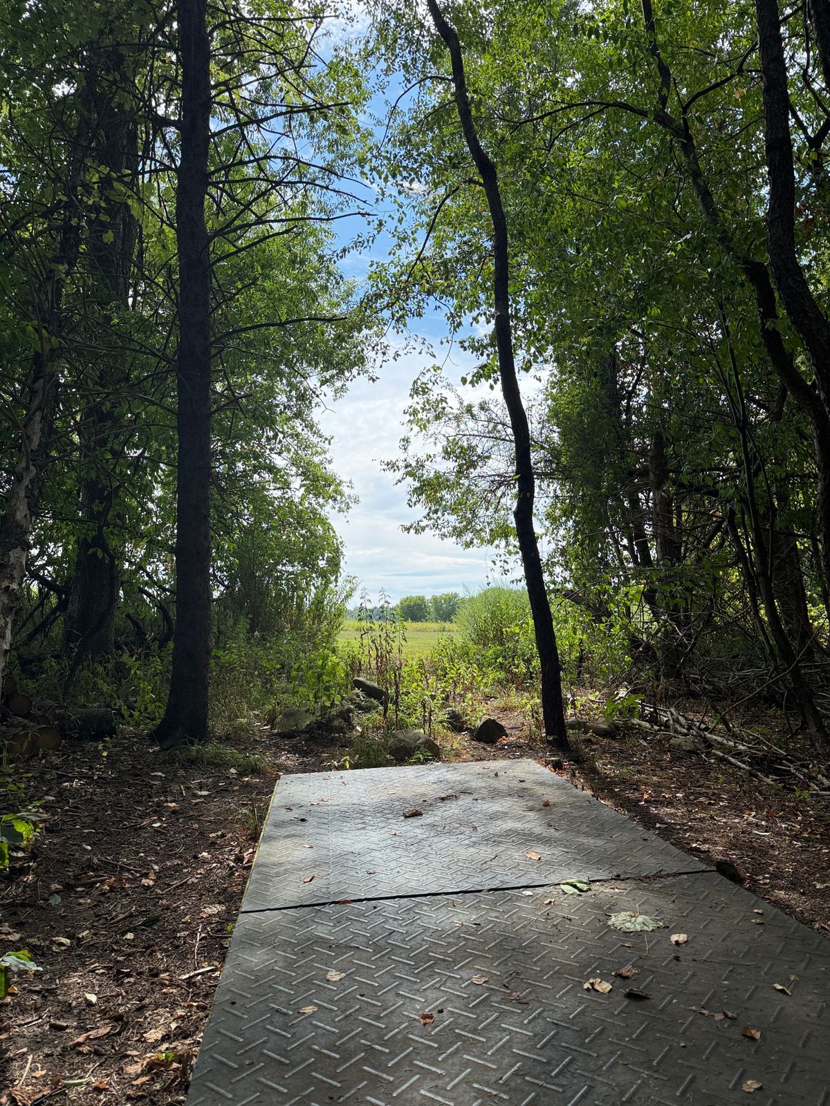 Hole #8 Teepad