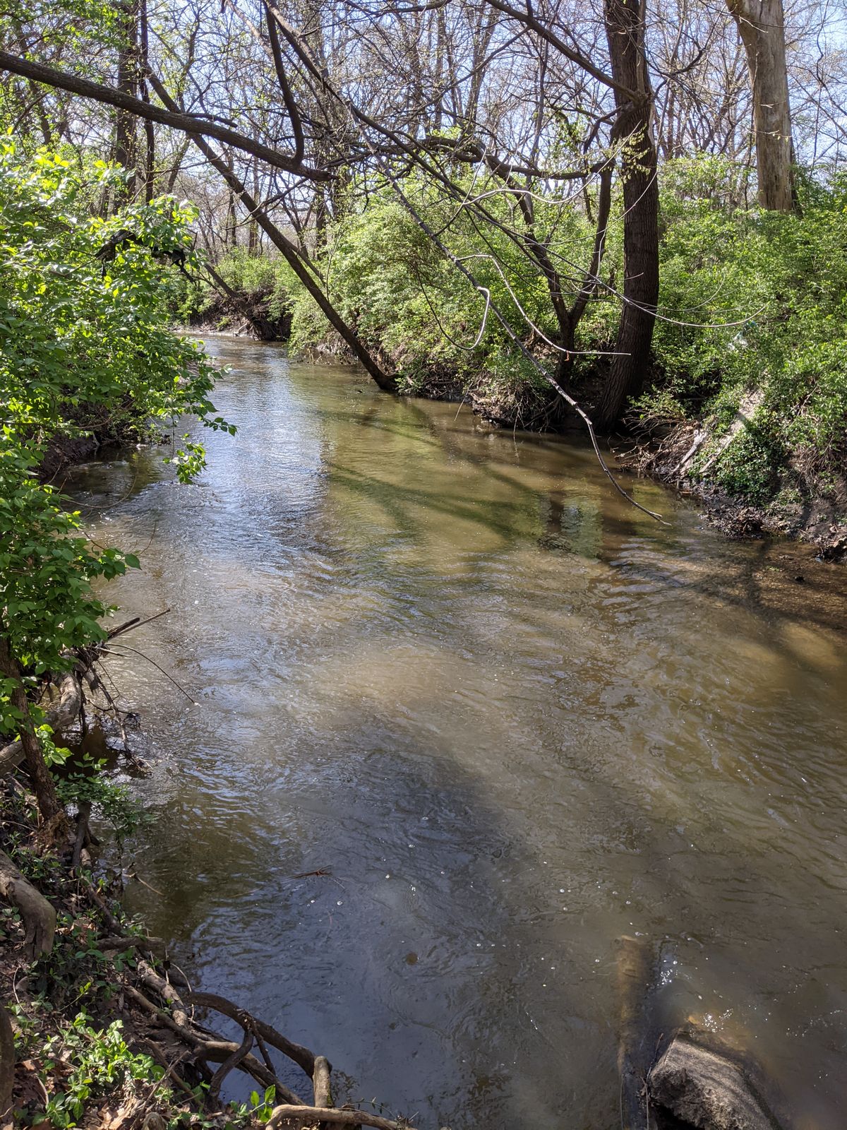 Deep water after recent rain. Bring a disc retriever!