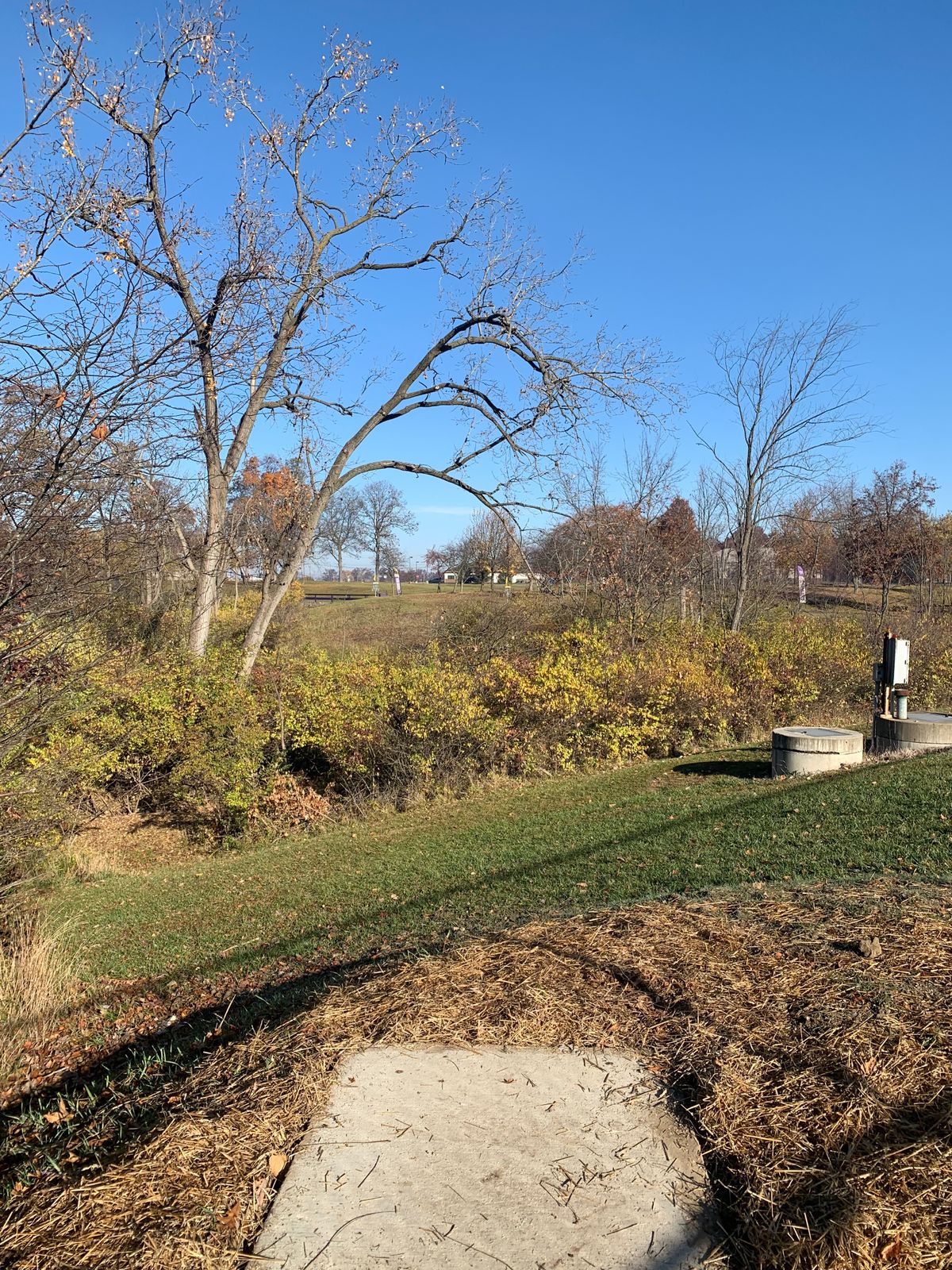 Hole 6 - Pro Tee