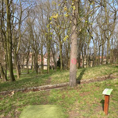 Course photo