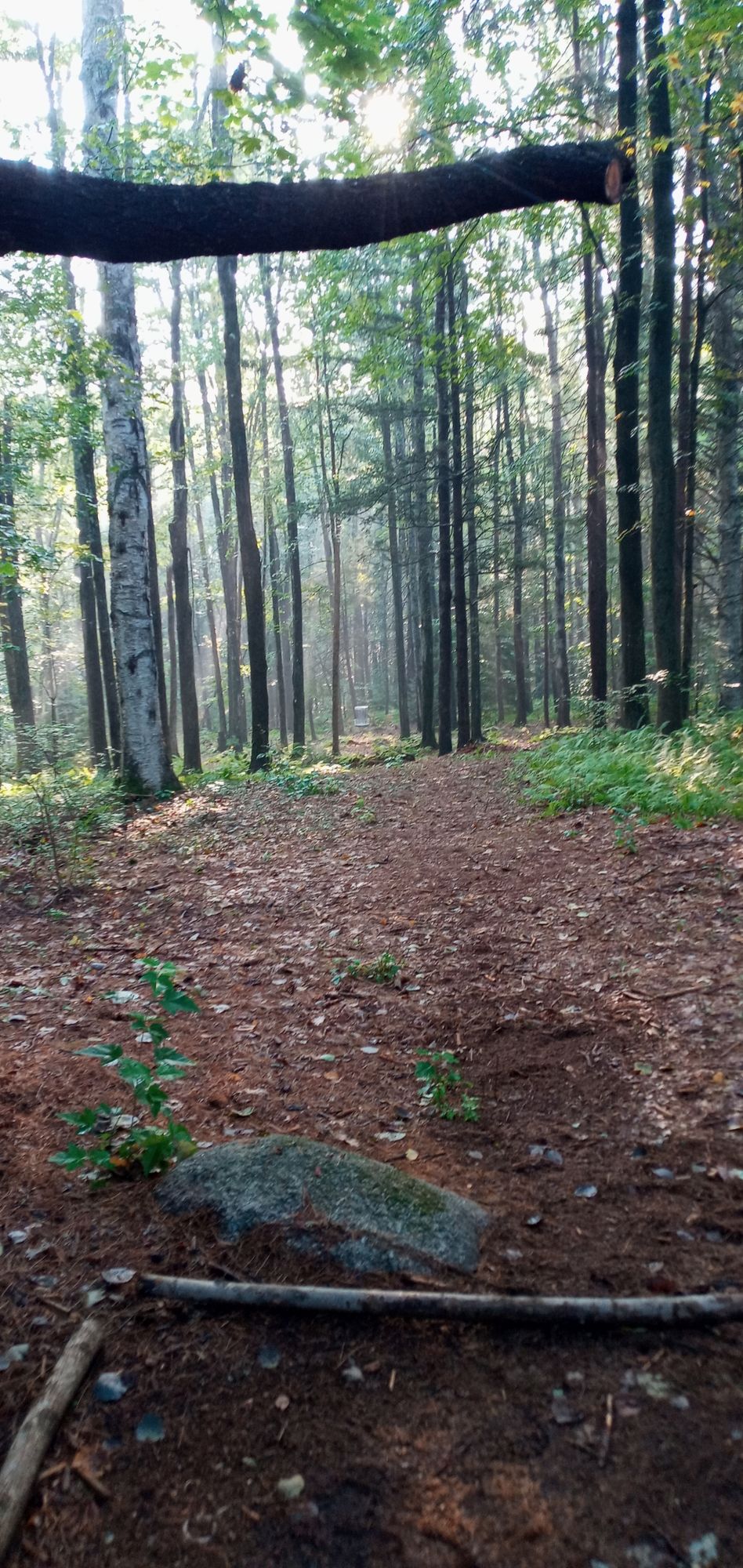 Hole 1: Starting off with an Ace Run