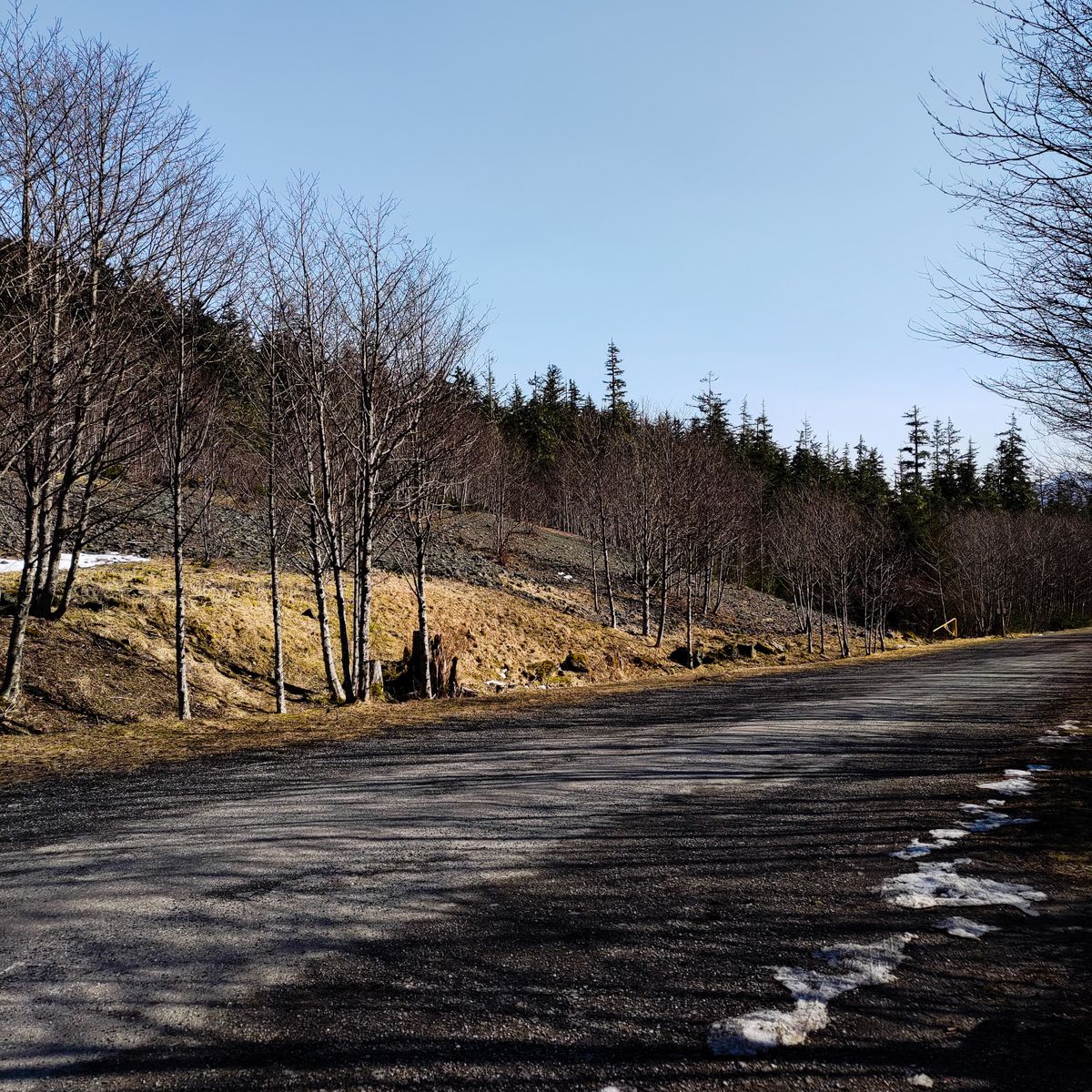 Teepad 15 Red, early Spring. Be mindful of cars entering and exiting the course.