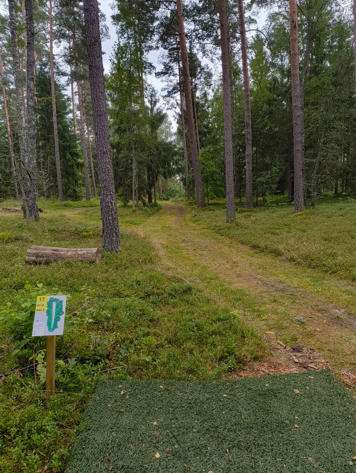 Hole 17