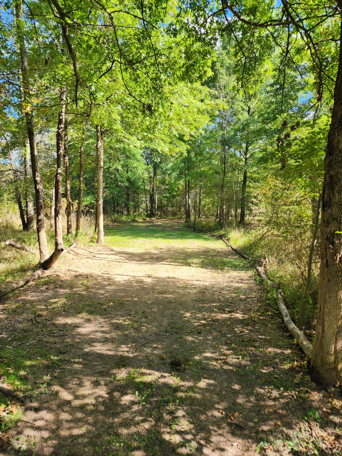 More of No. 2 fairway