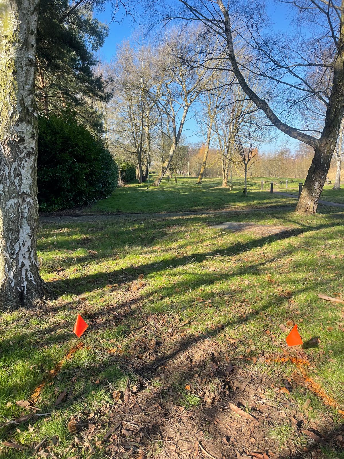 Hole 1 tee area