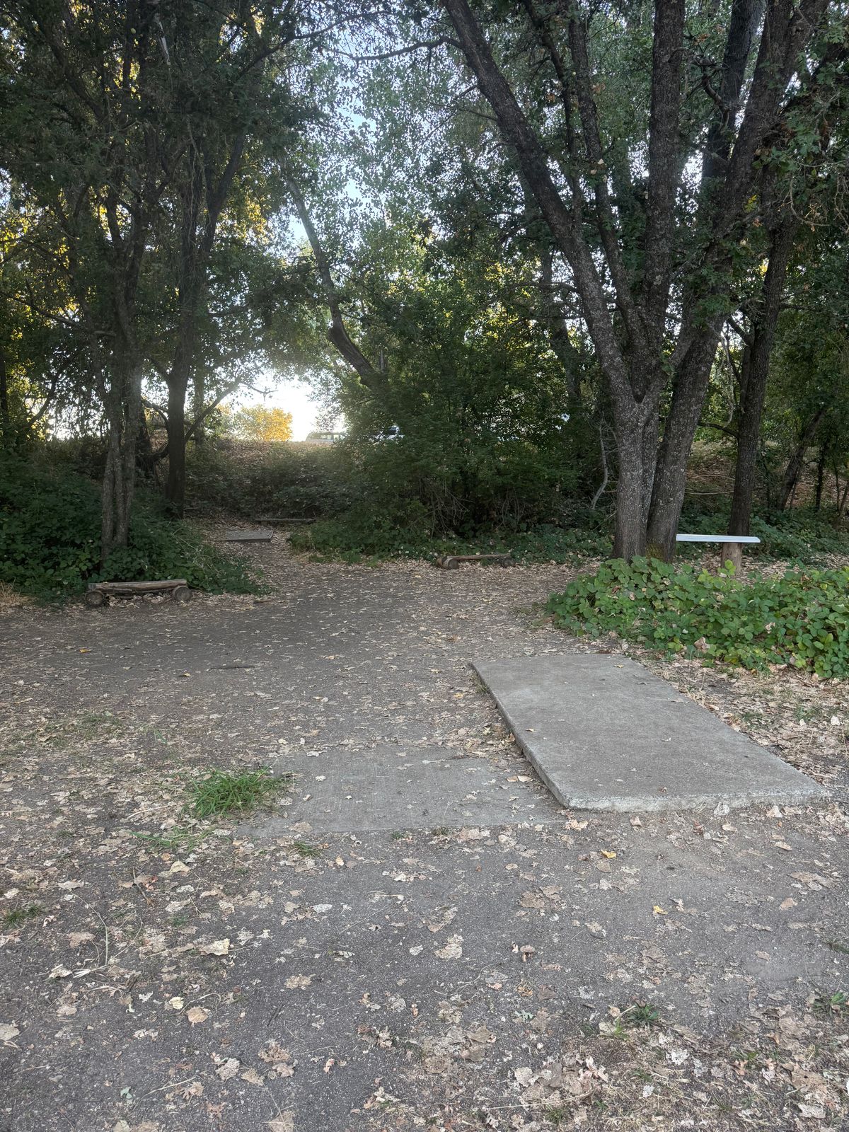 Front and back tee pads for 16