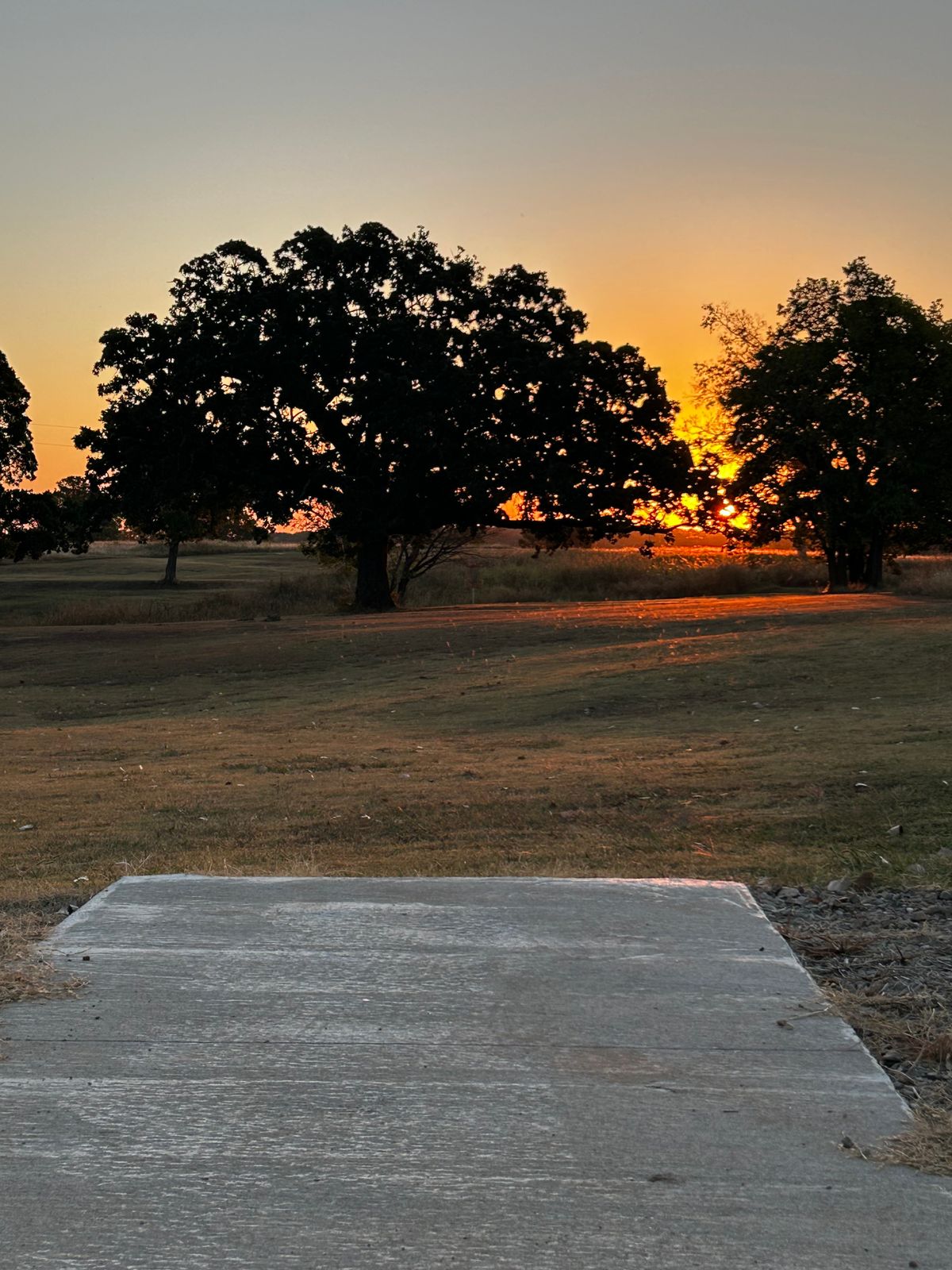 Hole 7- Mighty Oak, Black and White Tee